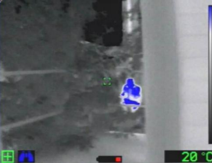 1700811521.png 6.png